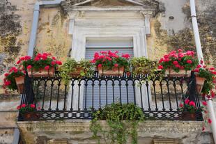 Mit Blumen geschmückter Balkon in Altamura 