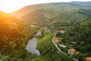 Douro Tal