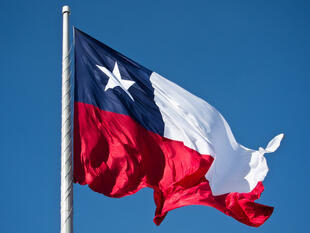 Flagge von Chile