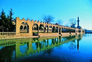 Urfa 