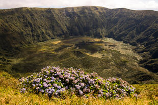 Caldeira auf Faial