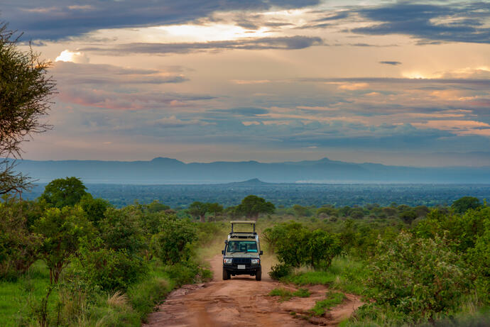 Safari im Tarangire Nationalpark 