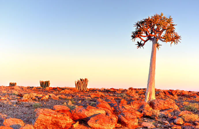 am Fish River Canyon