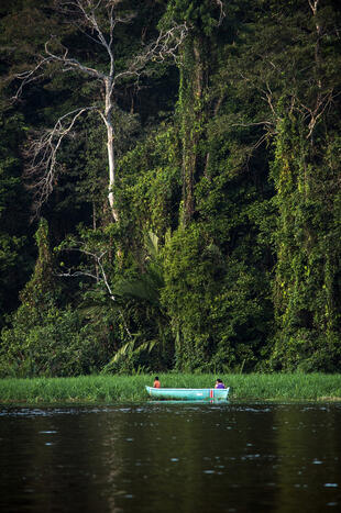 Fluss in Tortuguero