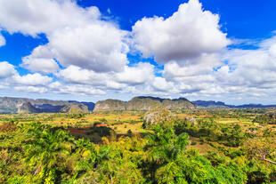 Vinales 