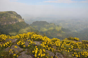 Landschaft im Simien-Gebirge