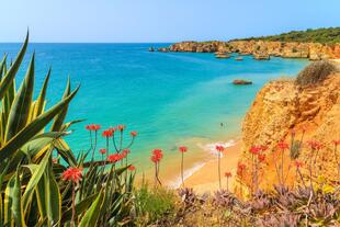 Felslandschaft Carvoeiro