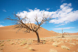 Sossuvlei