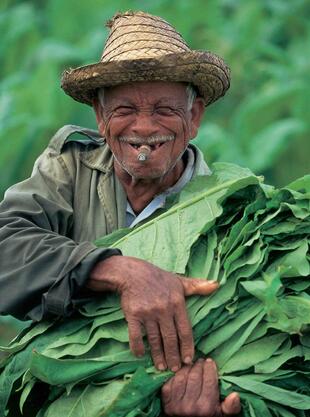 Tabakbauer in Pinar del Rio