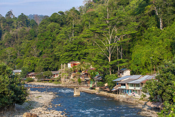 Bukit Lawang 