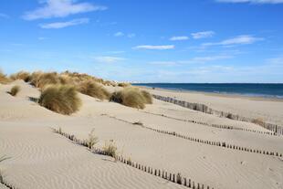 Camargue