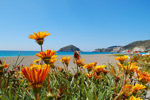 Maronti Strand in Ischia