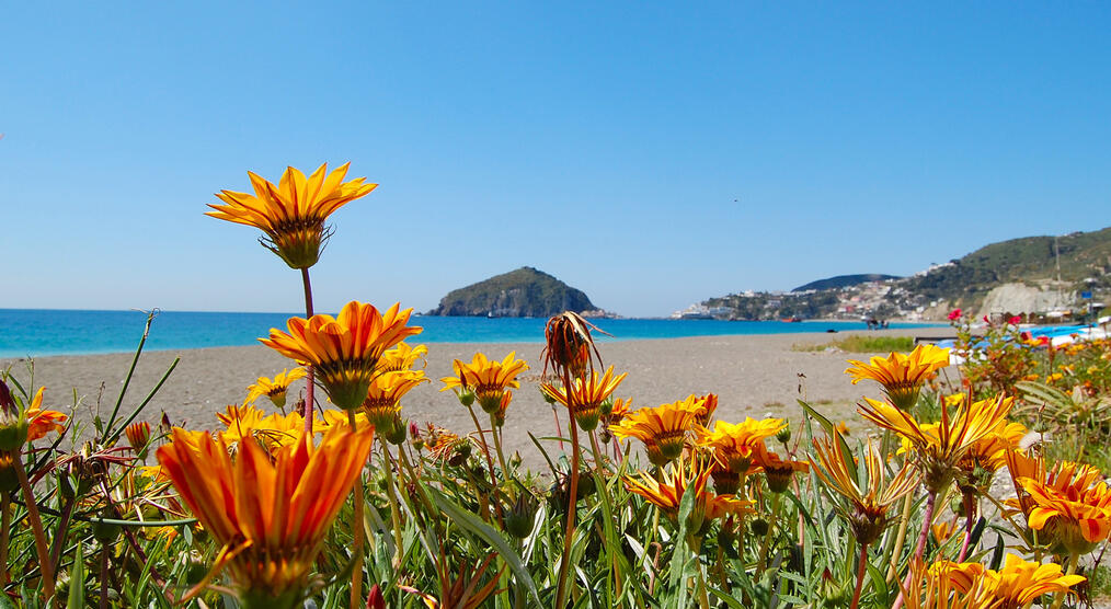 Maronti Strand in Ischia