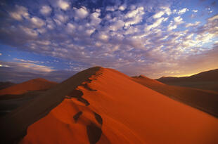 Sossusvlei Duene