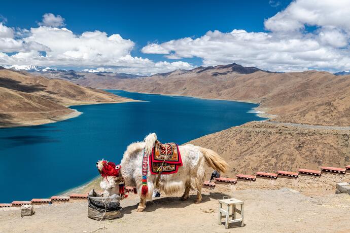 Aussicht über den Yamdrok See in Tibet 