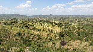 Traditionelle Felder der Konso Völker