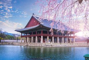 Gyeongbokgung Palast im Frühling