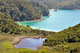 Abel Tasman National Park 