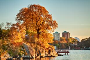 Blick auf die herbstliche Insel Djurgården