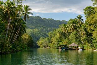 Bohol Island