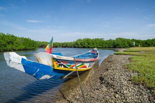 Piroge im Saloum Delta