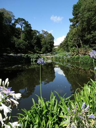 Trebah Garden