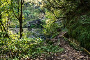 Wanderweg Ribeiro Frio 