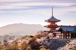 Kyoto während der Kirschblüte