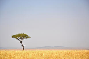 Masai Mara Nationalpark