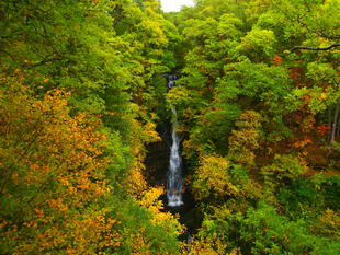 Pitlochry Black Spout