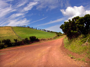 Sao Jorge