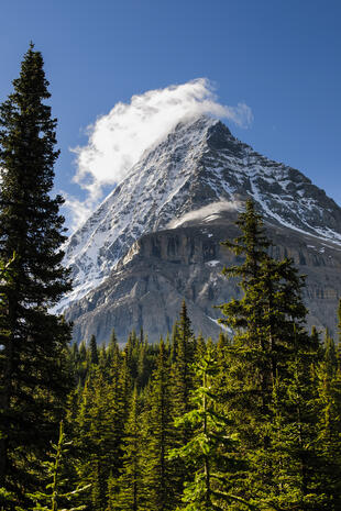 Mount Robson 