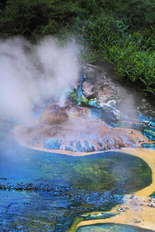 Türkisblaue Quelle in Rotorua 