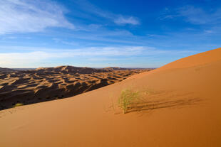 Blick über Erg Chebbi