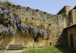 Alte Steinwand