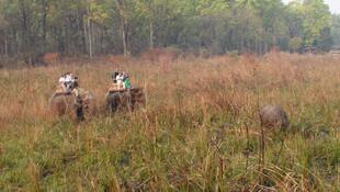 Chitwan Nationalpark