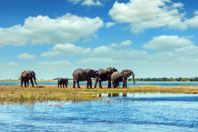 Chobe Nationalpark