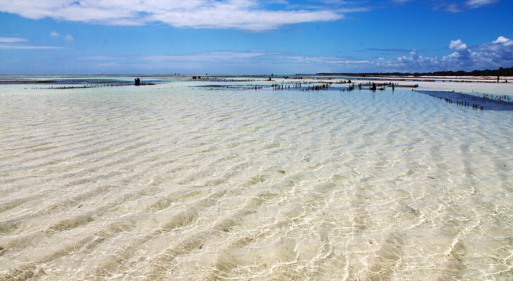 Sanddünen am Strand