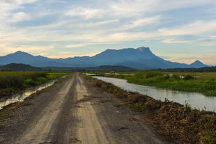 Kinabalu Nationalpark 