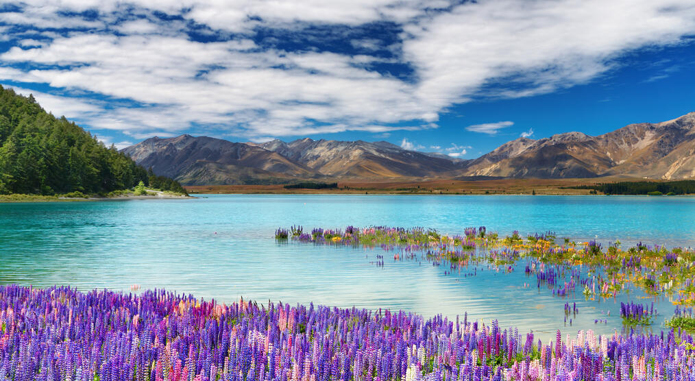 Lake Tekapo 