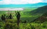 Ngoronngoro Krater