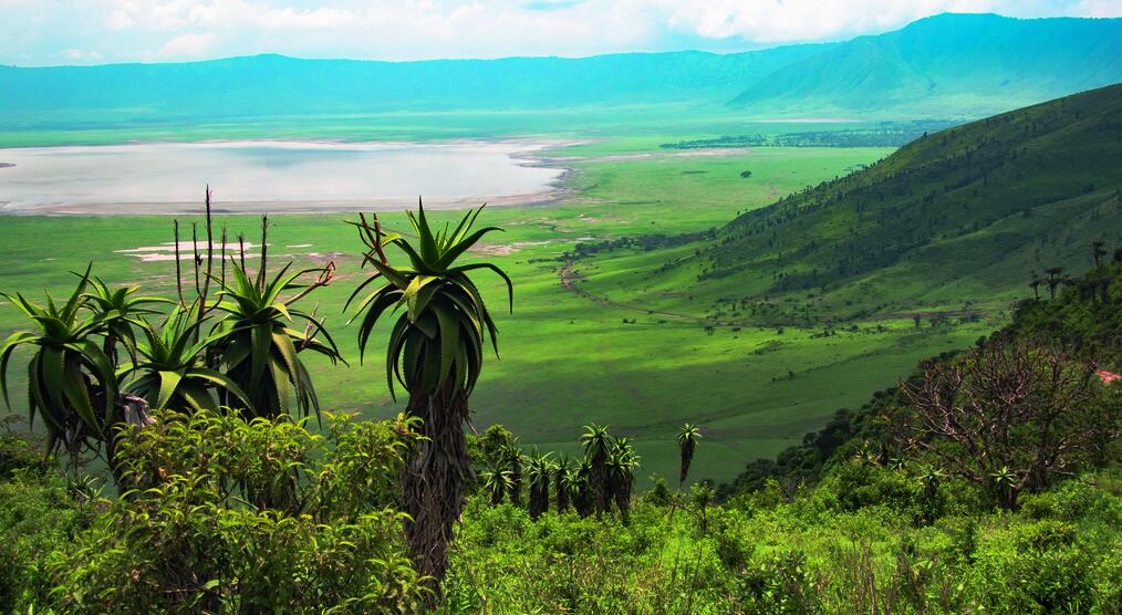 Ngoronngoro Krater