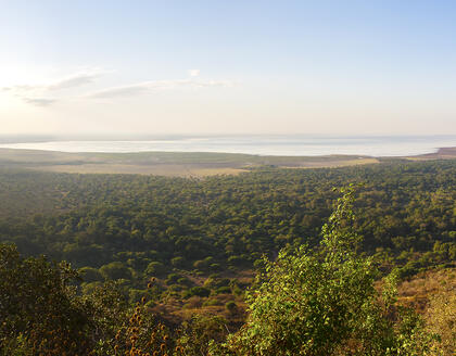 Panorama vom Lake Manyara Nationalpark