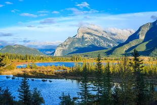 Rockies 