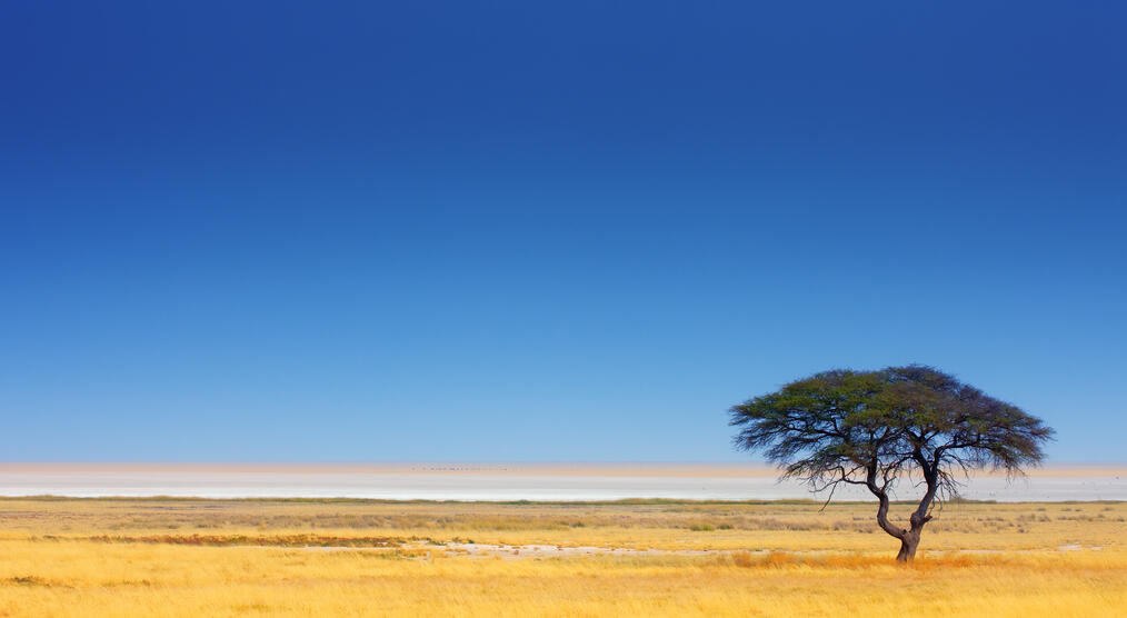 Etosha Nationalpark