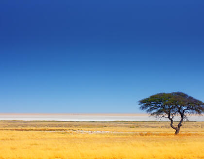 Etosha Nationalpark