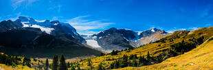 Wilcox Pass 