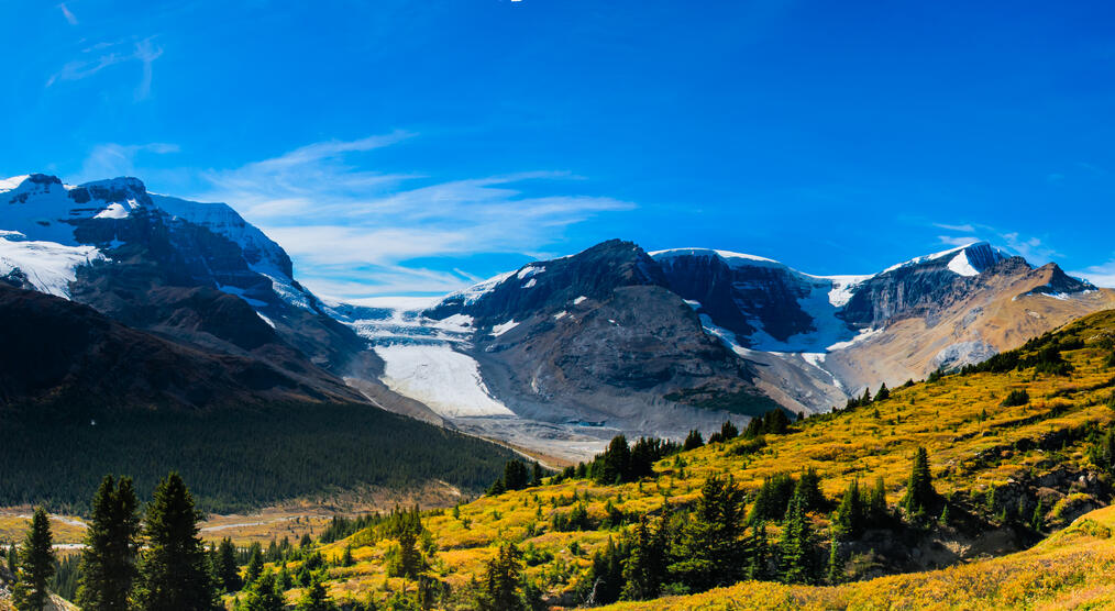 Wilcox Pass 