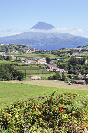 Insel Faial mit Pico im Hintergrund