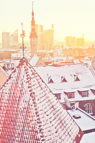 Sonnenaufgang über Tallinns Altstadt